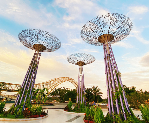 Supertrees Singapore